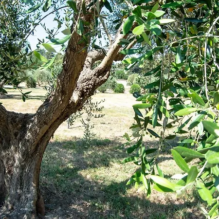 Villaggio Azzurro Quercianella